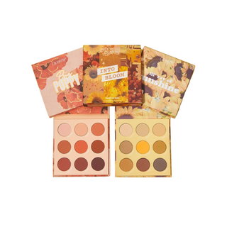 Colourpop Into The Bloom Palette Duo Big Poppy and Lil' Ray of Sunshine