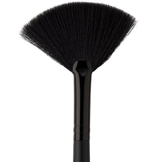 Fan Brush