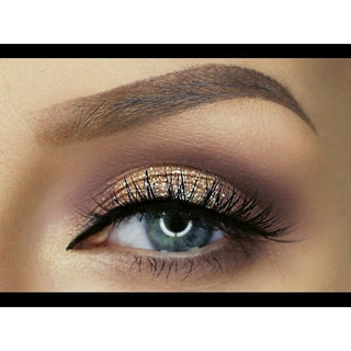 Brushes 35T-35 Color Taupe Palette