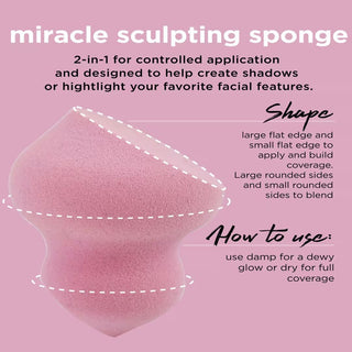 6 Miracle Sponges
